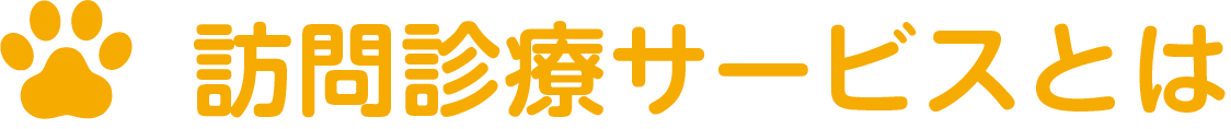 訪問診療サービスとは